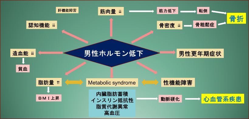 男性更年期障害（LOH症候群） | 中野駅前ごんどう泌尿器科